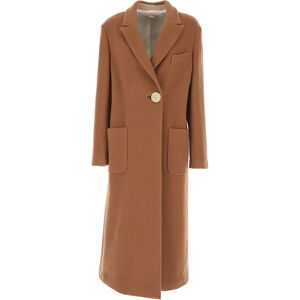 Alysi , Coat ,Brown female, Sizes: M