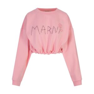 Marni , Marni Sweaters Pink ,Pink female, Sizes: XS, 2XS