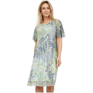 2-Biz , Floral Summer Dress - Dorita Collection ,Multicolor female, Sizes: XL