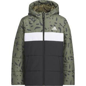 Adidas COLORBLOCK Steppjacke Jungen oliv 128