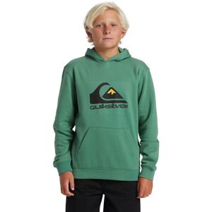 Quiksilver Kapuzensweatshirt »BIG LOGO HOODIE YOUTH« grün  10 (134/140)