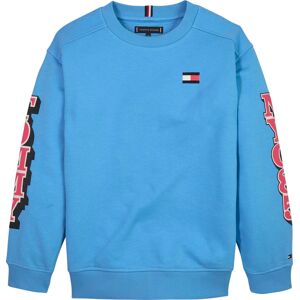 Tommy Hilfiger Sweatshirt »FUN LOGO SWEATSHIRT«, mit Print auf den Ärmeln Skysail  16 (176)