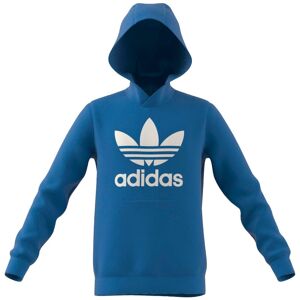 Adidas Originals Kapuzensweatshirt »TREFOIL HOODIE« Bluebird  170