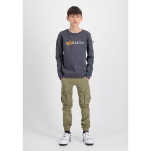 Industries Sweater »ALPHA INDUSTRIES Kids - Sweatshirts« greyblack Größe 8