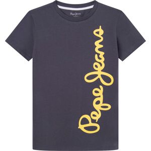 Pepe Jeans T-Shirt »WALDO«, mit grossem Markenprint, for BOYS phantomgrey Größe 10