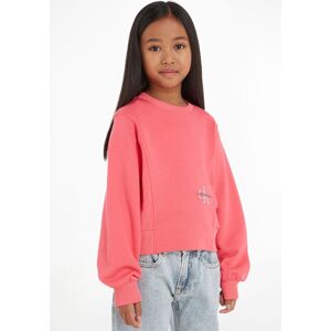 Klein Jeans Sweatshirt, Mit Calvin Klein Monogram pink Größe 6 (116)