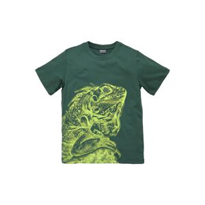 KIDSWORLD T-Shirt »GECKO«, cooles Tiermotiv dunkelgrün Größe 176/182