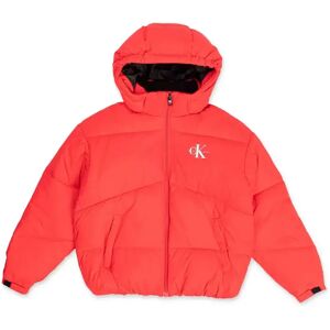 Calvin Klein - Jacke Mit Kapuze, 14a, Rot