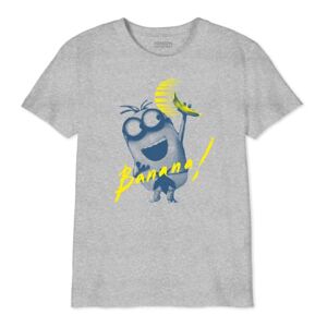 The Minion Monsters Jungen Boutmints025 T-Shirt, Grau meliert, 14 Jahre