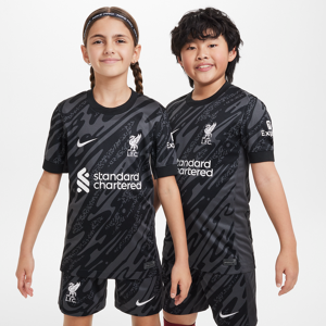 FC Liverpool Stadium GoalkeeperNike Dri-FIT kurzärmliges Replica-Fußballtrikot für ältere Kinder - Grau - XS