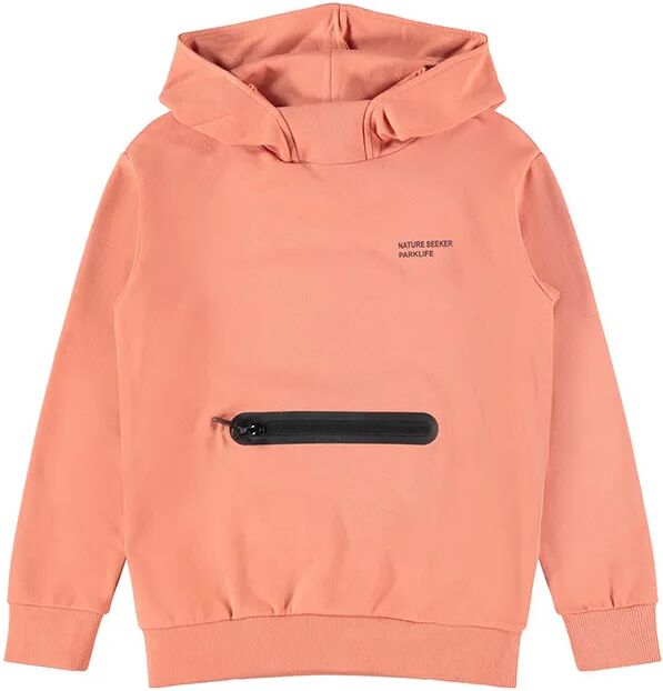 name it Kapuzen-Sweatshirt NKMDELVAN in apricot brandy