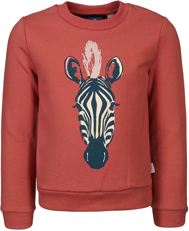 Sanetta Sweatshirt CRAZY ZEBRA in dusty berry