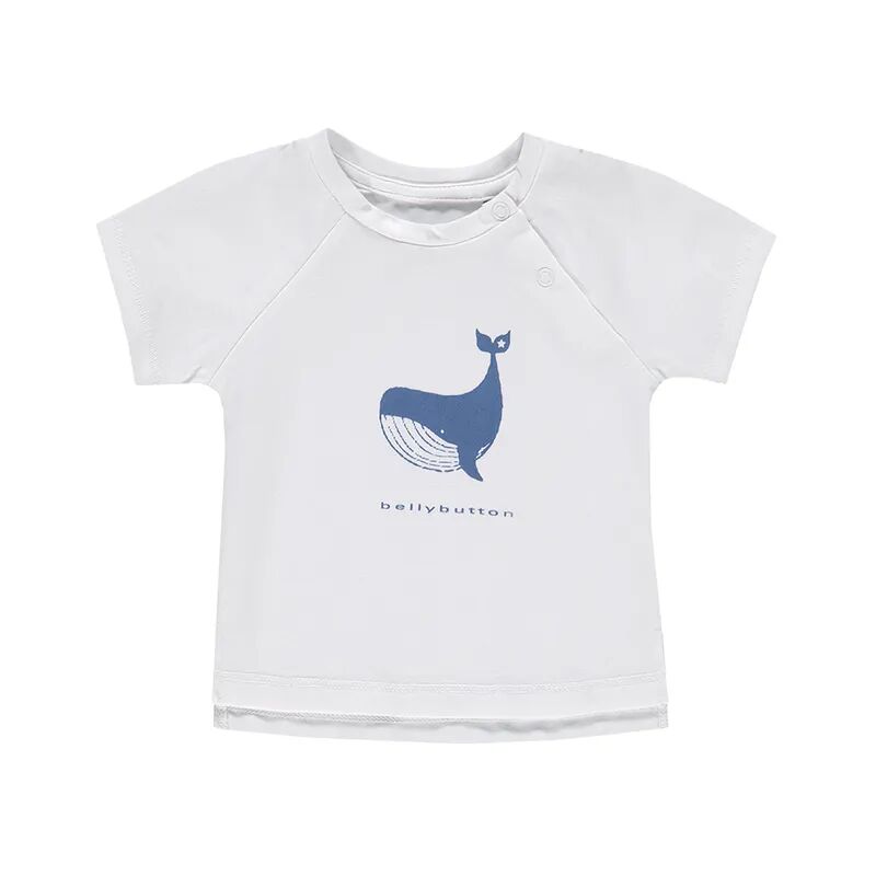 bellybutton T-Shirt LITTLE WHALE in offwhite