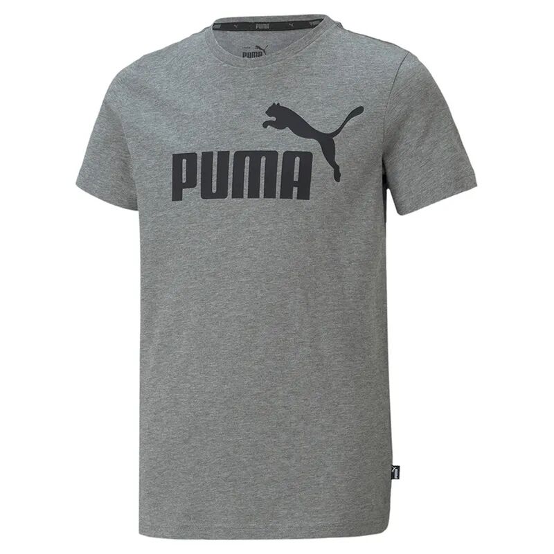 Puma T-Shirt SPORTYSTYLE CORE in grau