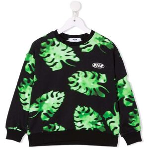 MSGM Kids Sweatshirt mit Blatt-Print - Grün 6 J./8 J./12 J./14 yrs Unisex