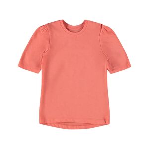 name it - T-Shirt NKFVIVALDI in persimmon, Gr.158/164