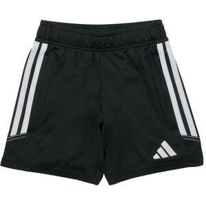 Adidas  Shorts Kinder Tiro23 Cbtrshoy 11 / 12 Jahre;13 / 14 Jahre;5 / 6 Jahre;7 / 8 Jahre;9 / 10 Jahre Female