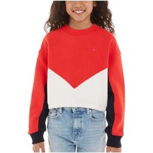 Tommy Hilfiger  Kinder-Sweatshirt - 4 Jahre;6 Jahre;8 Jahre;10 Jahre;12 Jahre;14 Jahre;16 Jahre Female