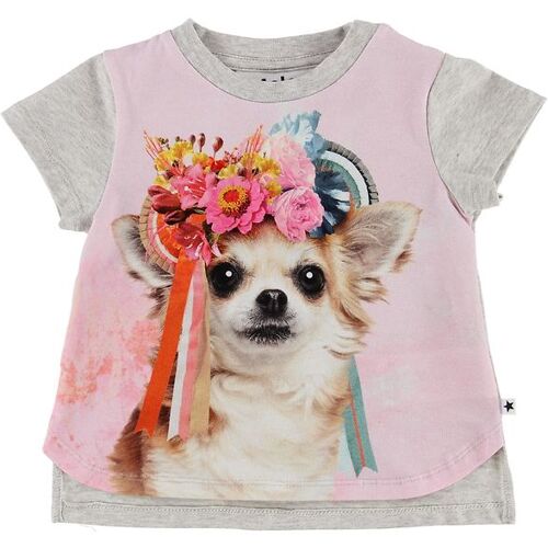 Molo T-Shirt - Erin - Chihuahua - Molo - 68 - T-Shirts