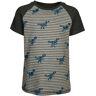 Hatley - T-Shirt T-REX in grau melange, Gr.104