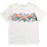 QUIKSILVER Kinder Shirt PARADISEEXPRYTH B TEES - unisex - Weiß - 152