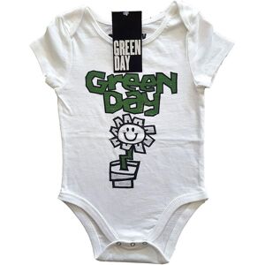 Green Day Kids Baby Grow: Flower Pot (6-9 Months)