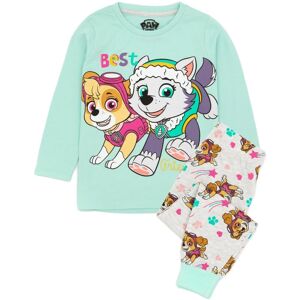 Paw Patrol Børne/børn Skye & Everest langærmet pyjamasæt med lange ærmer