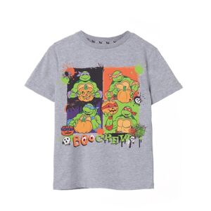 Teenage Mutant Ninja Turtles Childrens/Kids Boo Crew Marl T-Shirt