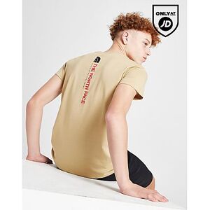 The North Face Vertical Graphic T-Shirt Junior, Brown