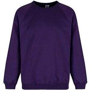 Trutex Unisex 260G Crew Neck Sweatshirt, Violett, 134 (Herstellergröße: 25-27