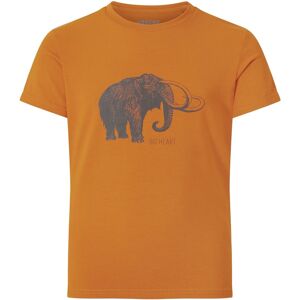 Urberg Kids' Tafjord Bamboo Tee Pumpkin Spice 134/140, Pumpkin Spice