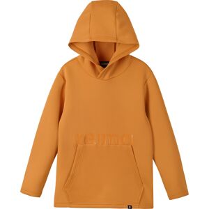 Reima Kids' Sweater Toimekas Dark Orange 2840 134 cm, Dark Orange 2840