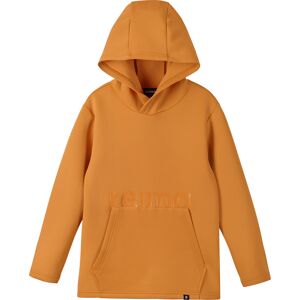 Reima Kids' Sweater Toimekas Dark Orange 134 cm, Dark Orange 2840