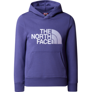 The North Face Boys' Drew Peak Pull-Over Hoodie Cave Blue L, CAVE BLUE