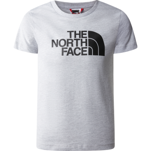 The North Face Boys' Short Sleeve Easy Tee Tnf Light Grey Heather XS, TNF LIGHT GREY HEATHER