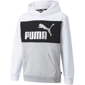 Puma Essentials+ Colourblock Hættetrøje Unisex Tøj Hvid 98