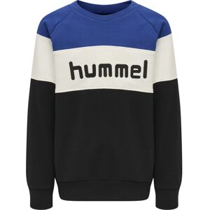 Hummel Claes Sweatshirt Drenge Hoodies Og Sweatshirts Multifarvet 128