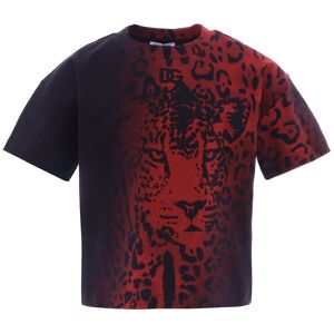 Dolce & Gabbana T-Shirt - Animalier - Sort/rød Leo - Dolce & Gabbana - 4 År (104) - T-Shirt