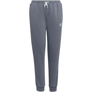 Adidas Performance Sweatpants - Entrada 22 - Team Grey Four - Adidas Performance - 12 År (152) - Bukser - Bomuld