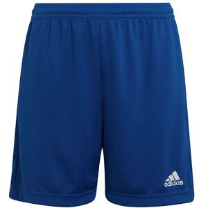 Adidas Performance Shorts - Blå/hvid - Adidas Performance - 6 År (116) - Shorts