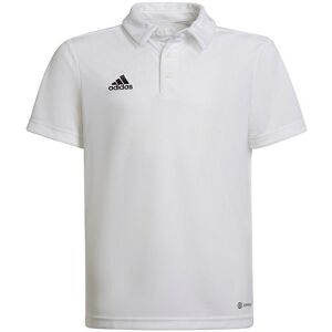 Adidas Performance Polo - Ent22 - Hvid - Adidas Performance - 12 År (152) - Polo