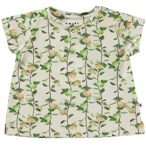 Molo T-Shirt - Elly - Apples Mini - Molo - 1½ År (86) - T-Shirt