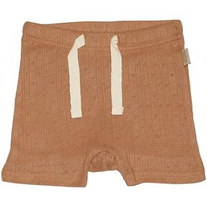 Petit Piao Shorts - Pointelle - Summer Camel - Petit Piao - 62 - Shorts