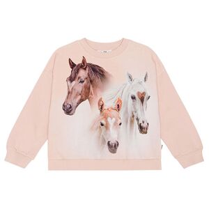 Molo Sweatshirt - Maxi - Three Friends - Molo - 10 År (140) - Sweatshirt