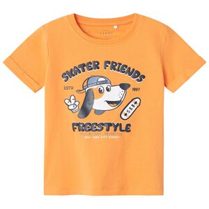Name It T-Shirt - Nmmvux - Bird Of Paradise/skater Friends - Name It - 2 År (92) - T-Shirt