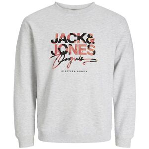 Jack & Jones Sweatshirt - Joraruba - Grey Melange - Jack & Jones - 14 År (164) - Sweatshirt