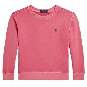 Polo Ralph Lauren Sweatshirt - Adirondack Berry - Polo Ralph Lauren - 14-16 År (164-176) - Sweatshirt