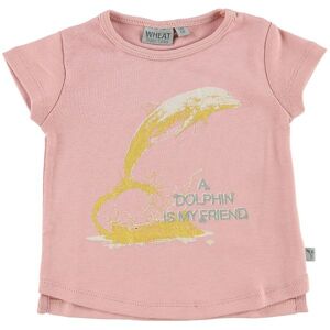 Wheat T-Shirt - Mellow Rose M. Delfin - Wheat - 62 - T-Shirt