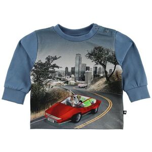 Molo Bluse - Eloy - Self-Driving Car - Molo - 1 År (80) - Bluse