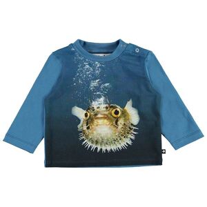 Molo Bluse - Enovan - Pufferfish - Molo - 74 - Bluse
